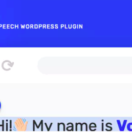 CodeCanyon – Voicer v1.0.2 – Text to Speech Plugin for WordPress – 24047538 Free Download