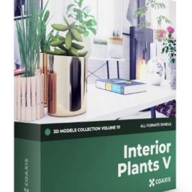 CGAxis Volume 111 Interior Plants 3D Models Collection Free Download