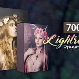 Inkydeals 700 Amazing Lightroom Presets Bundle Download