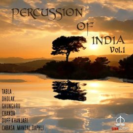 GBR Percussion Percussion Of India Vol.1 WAV REX KONTAKT